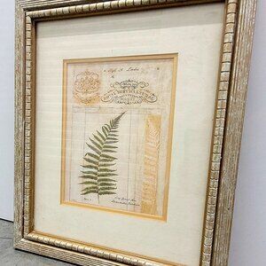 Fern Print (Royal Horticultural Society)